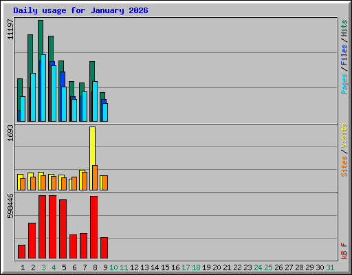 Daily usage for January 2026