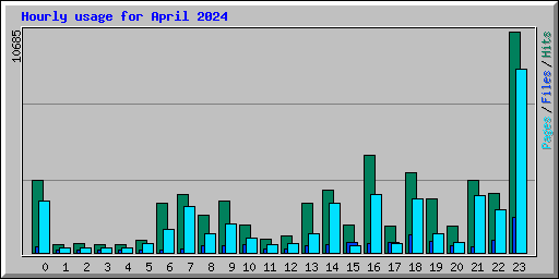 Hourly usage for April 2024