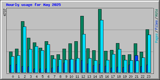 Hourly usage for May 2025