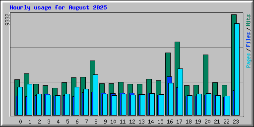Hourly usage for August 2025