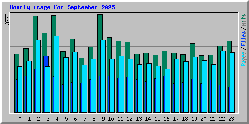 Hourly usage for September 2025
