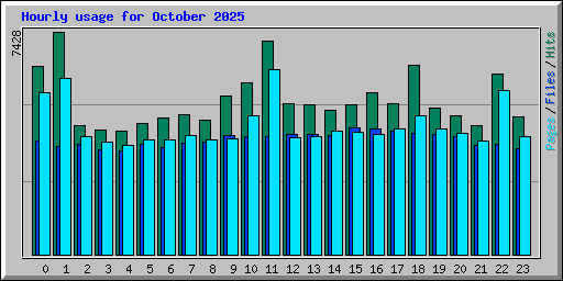 Hourly usage for October 2025