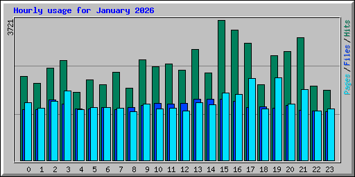 Hourly usage for January 2026