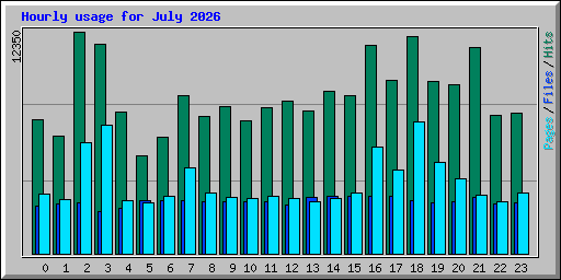 Hourly usage for July 2026