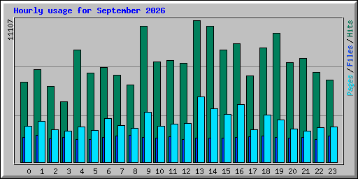 Hourly usage for September 2026